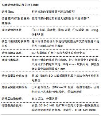 环形外固定架联合骨膜烧灼构建大鼠胫骨萎缩性骨不连的新模型
