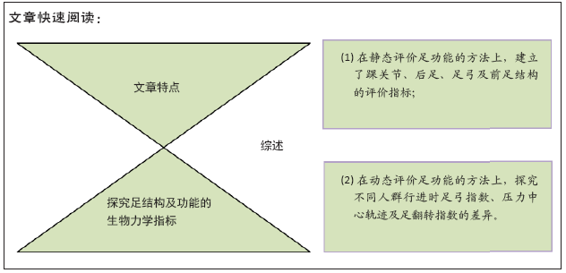 足踝功能的生物力学测评 构建足静态和动态评价指标 足踝功能的生物力学测评 构建足静态和动态评价指标