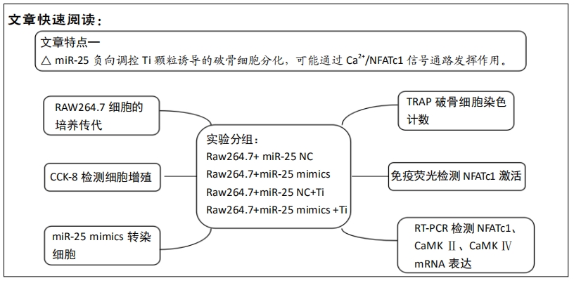 过表达miR-25通过NFATc1信号通路调控钛颗粒诱导的破骨细胞分化